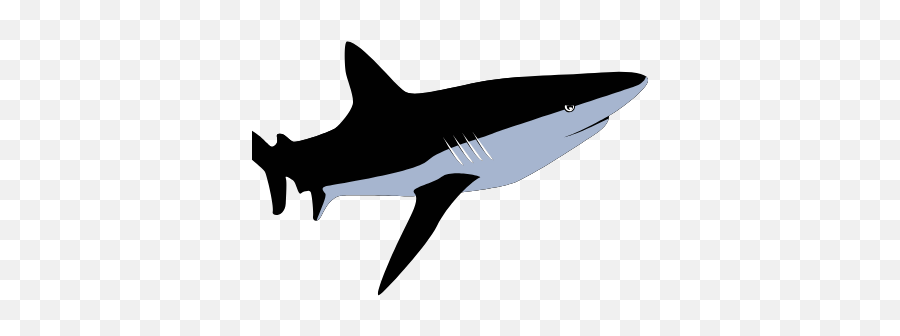 Gtsport Decal Search Engine - Great White Shark Emoji,Terd Emoji