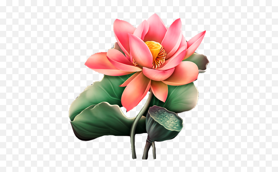 Art Emoji,Lotus Flower Emoji