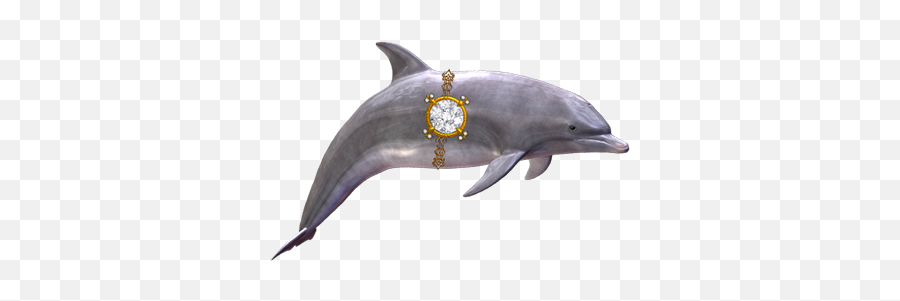 Sticker Pack For Imessage - Common Bottlenose Dolphin Emoji,Dolphin Emoticon