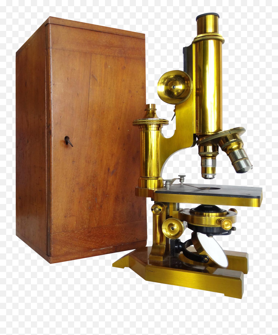 Brass R J Beck Microscope - Furniture Emoji,Microscope And Rat Emoji