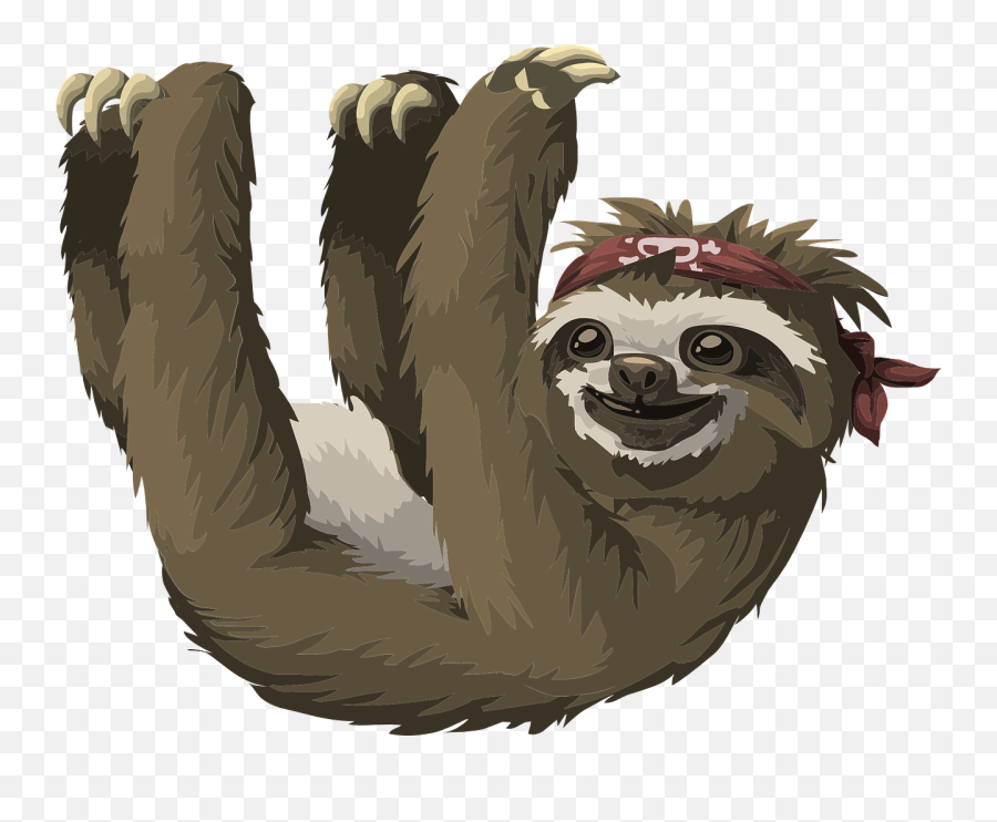 Sloth Animal Mammal Awake Haning - Sloth Free Emoji,Upside Down Happy Face Emoji