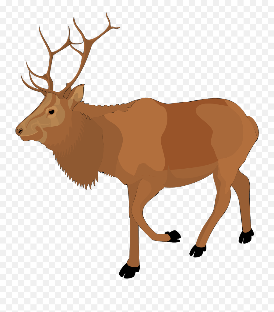 Moose Brown Walking Animal Antlers - Moose Clipart Png Emoji,Walking Dead Emoji Download