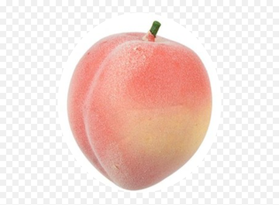 Peach Fruit Foam Rubber Pink - Aesthetic Peach Transparent Background Emoji,Peach Emoji Background