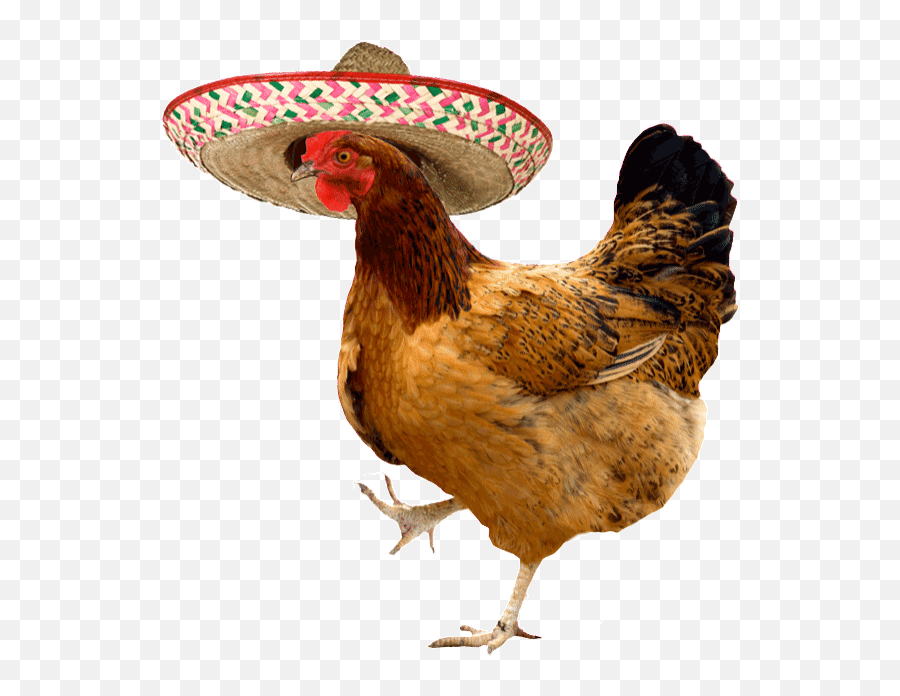 Top The Rooster Stickers For Android Ios - Chicken With Sombrero Emoji,Rooster Emoji
