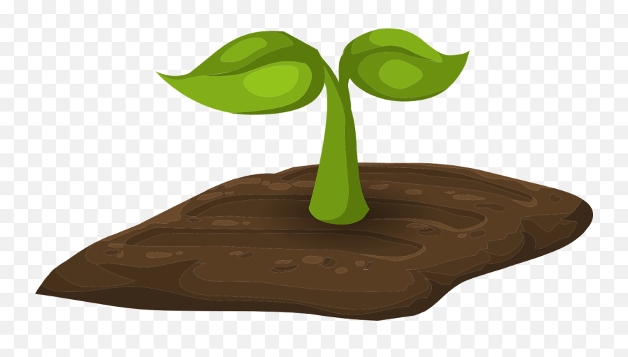 Sprouts Plants Tiny Green Leaves - Cartoon Image Of Sprouts Emoji,Bean Sprout Emoji