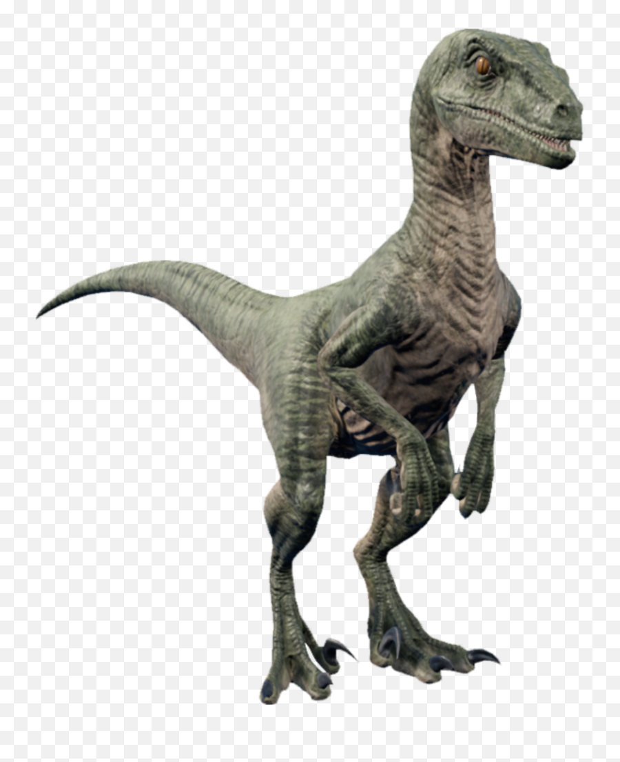 Dino Freetoedit - Jurassic World Evolution Velociraptor Emoji,Dino Emoji