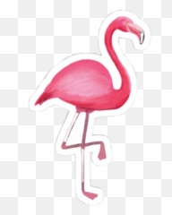Trending Flamenco Stickers - Flamingo Sticker Emoji,Flamenca Emoji