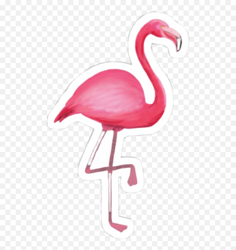 Trending Flamenco Stickers - Flamingo Sticker Emoji,Flamenca Emoji