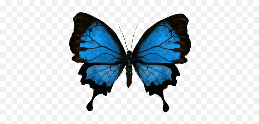 Transparent Moth Animated Picture - Animated Blue Butterfly Gif Emoji,Moth Emoji