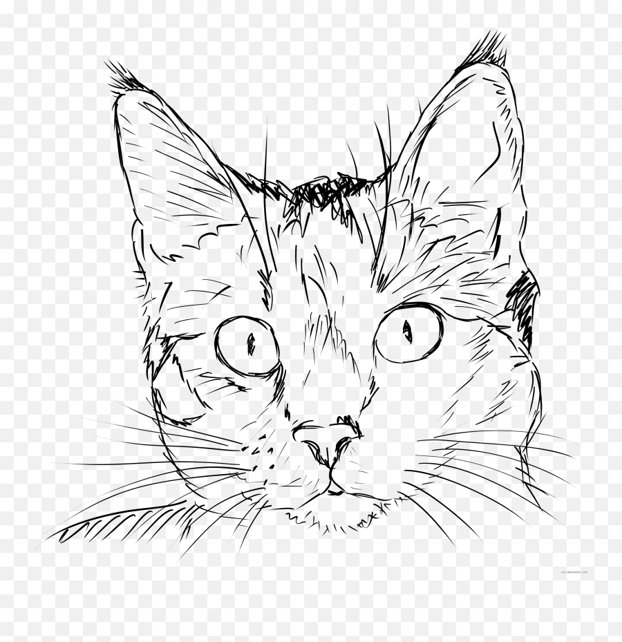 2 Bpng Printable Coloring4free - Realistic Cat Face Drawing Emoji,Cat Cow Horse World Emoji