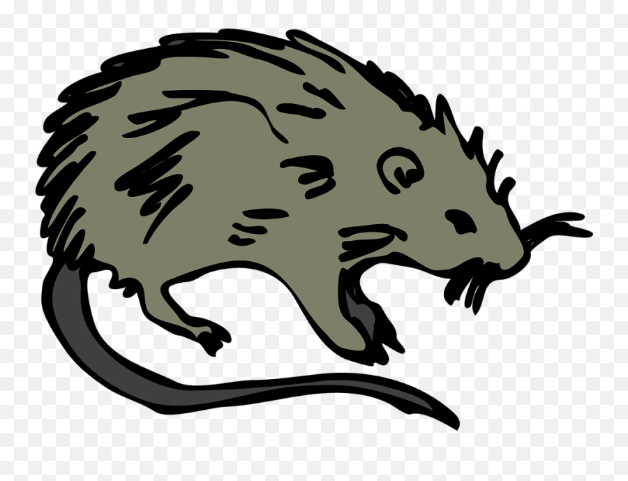 Free Rat Mouse Illustrations - Rodent Clipart Emoji,Chinese New Year Emoji