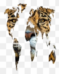 Jaguar Freetoedit - Siberian Tiger Emoji,Jaguar Emoji