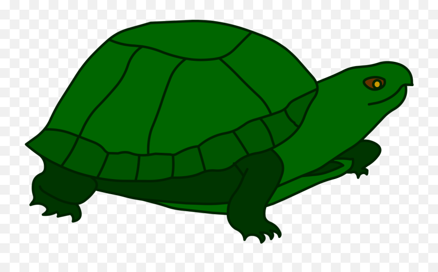 Turtle New Hands - Tortoise Emoji,Sea Turtle Emoji