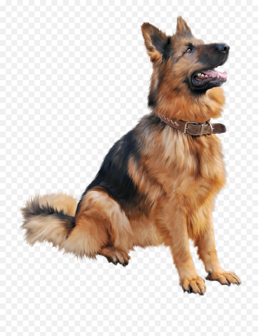 German Shepherd Png - Dog Png Emoji,Pit Bull Emoji