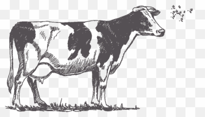 Cow - Black And White Drawing Emoji