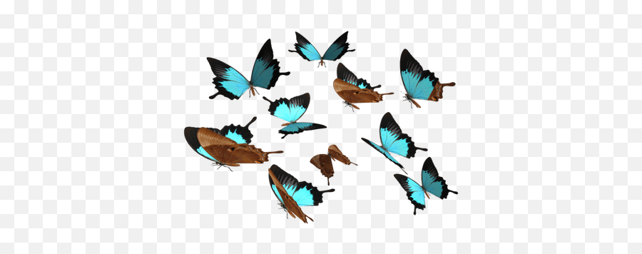 Butterfly Transparent Butterflies Transparent Images Stick - Butterflies Transparent Background Emoji,Blue Butterfly Emoji