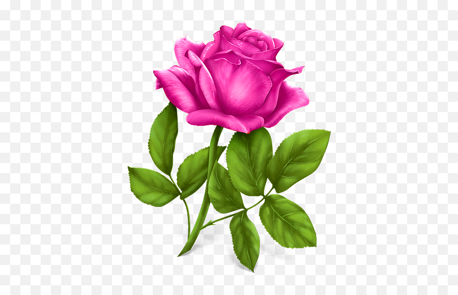 Good Morning Flower Wallpapers Colorful Roses 4k For Android - Happy Married Life Shayari Emoji,Good Morning Emoji