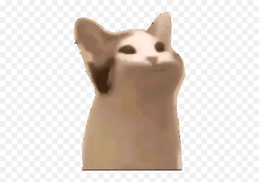 stressed - Discord Emoji Pop Cat Discord Emote - free transparent emoji