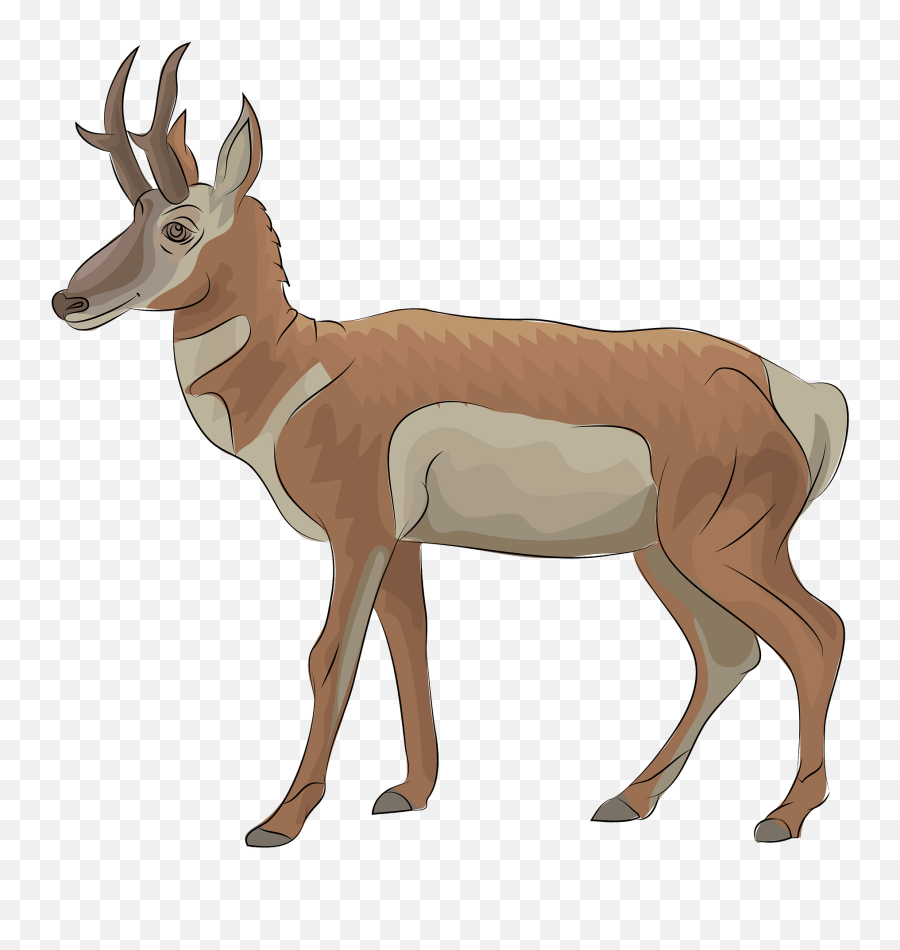 Pronghorn Clipart - Pronghorn Clipart Emoji,Deer Hunting Emoji
