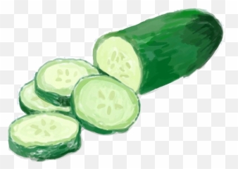 Cucumber Pickles Cucumbers Pickle Freetoedit - Drawn Cucumber Emoji,Pickle Emoji