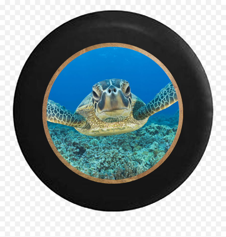 Spare Tire Cover Sea Turtle In The - Marine Life Facebook Cover Emoji,Sea Turtle Emoji