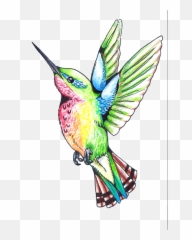 Download Hummingbird Tattoos Png Clipart Hq Png Image - Humming Bird Clip Art Emoji,Hummingbird Emoji