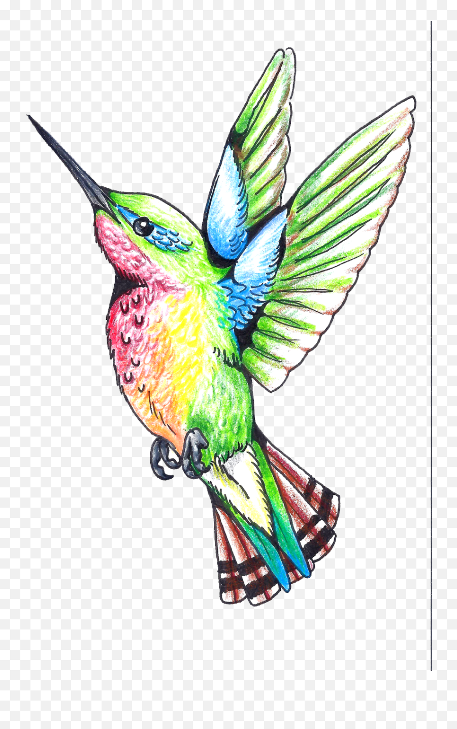 Download Hummingbird Tattoos Png Clipart Hq Png Image - Humming Bird Clip Art Emoji,Hummingbird Emoji