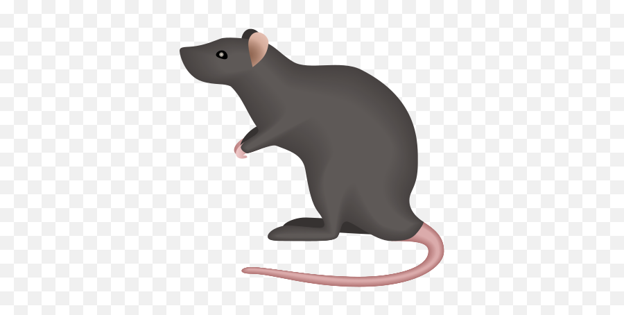 Rat Icon - Rat Emoji Png,Rat Emoji