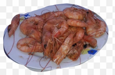 Popular And Trending - Serveware Emoji,Shrimp Emoji