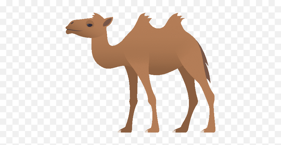 Two Hump Camel Nature Gif - Animal Figure Emoji,Humping Emoji