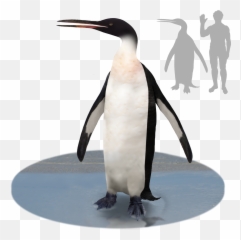 Wikiproject - Kairuku Waitaki Emoji,I'm Sorry Emoji