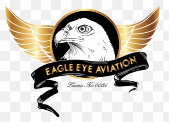 Eagle Eye Clipart Png - Eagle Eye Aviation Swakopmund Emoji,Bald Eagle Emoji
