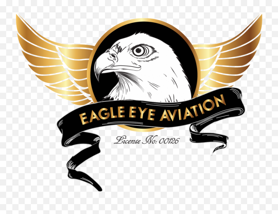 Eagle Eye Clipart Png - Eagle Eye Aviation Swakopmund Emoji,Bald Eagle Emoji