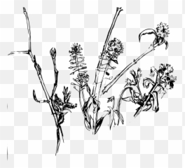 Wilting Flower Banner Royalty - Dead Line Art Emoji