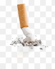 Cigarettes Vector Smoking Cigarette - Cigarette Butt Transparent Background Emoji,Cig Emoji