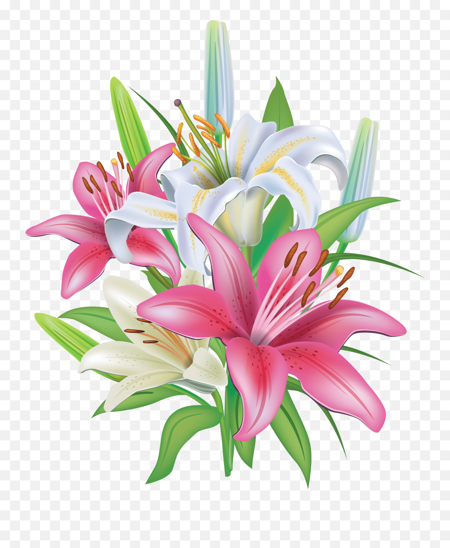 Free Lily Png Download Free Clip Art Free Clip Art On - Easter Lilies Clipart Emoji,Lily Flower Emoji