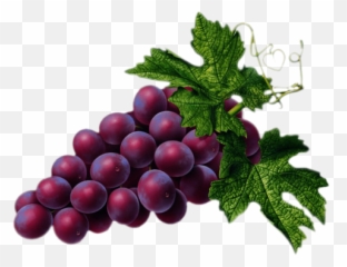 Largest Collection of Free - toEdit grapes Stickers Purple Grapes Transparent Emoji