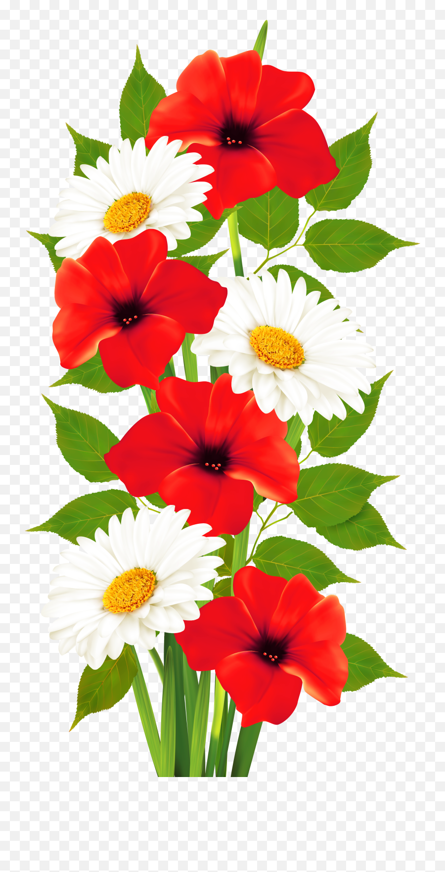 Daisies Transparent Png Clipart - Beautiful Flowers Image Download Emoji,Poppy Emoji