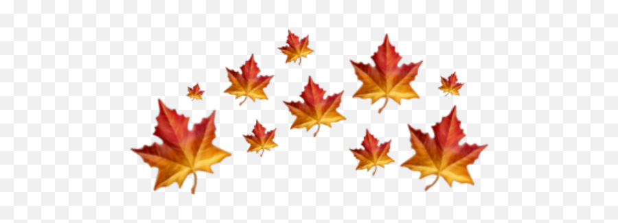 Freetoedit - Autumn Emoji,Maple Leaf Emoji