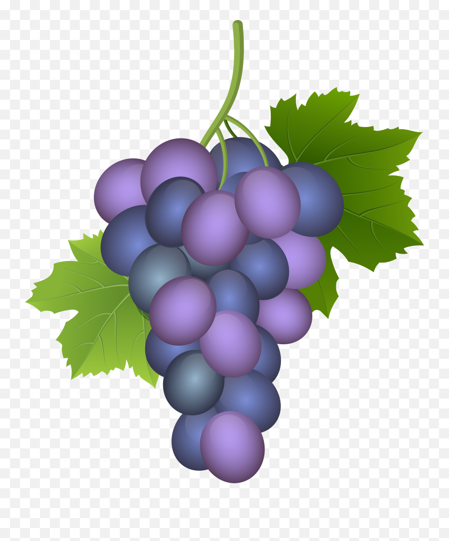 Grapes Clipart Purple Grape Grapes Emoji,Grape Emoji Png