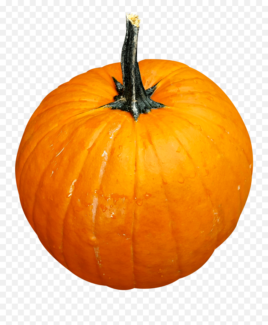 Pumpkin Png Image - Pumpkin Png Transparent Emoji,Pumpkin Emoji Twitter