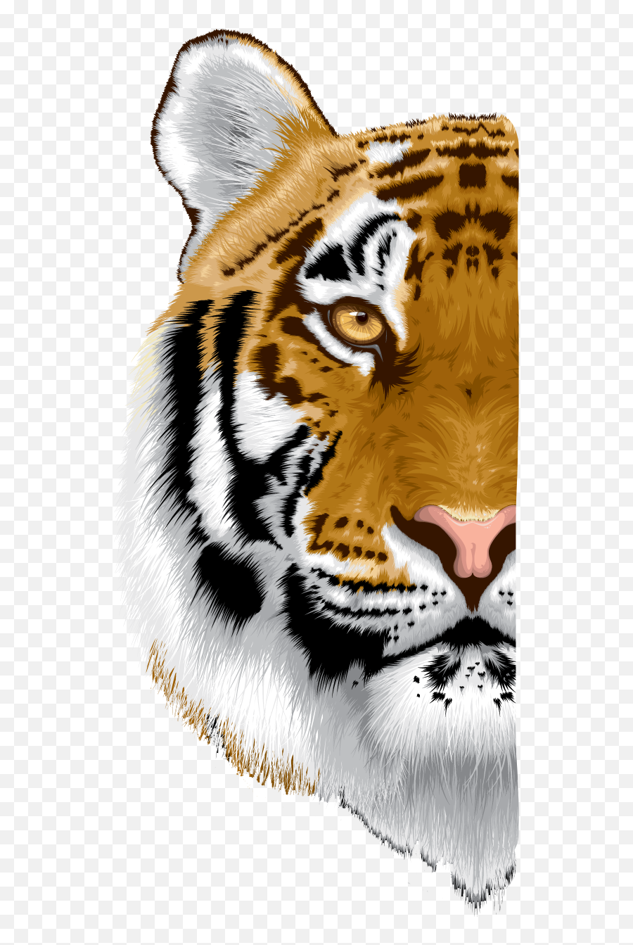 The Newest Tiger Face Stickers On Picsart - Tigers Hd Face Png Emoji,Tiger Face Emoji