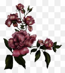 Gothic Rose Clipart - Gothic Rose Png Emoji,Goth Emoji