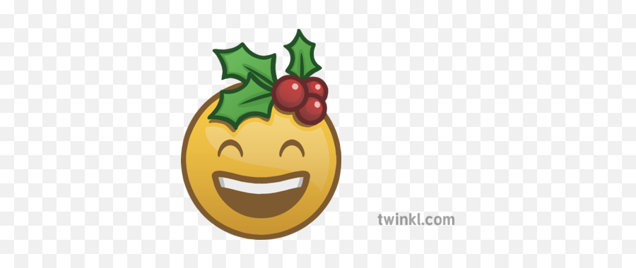 Holly Hat Smile Emoji Christmas Festive Emote Happy - Smiley,Holly Emoji