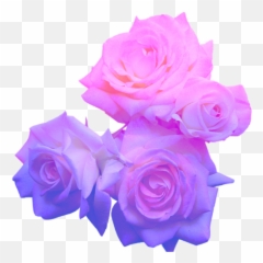 Shrugging - Aesthetic Flowers Transparent Background Emoji