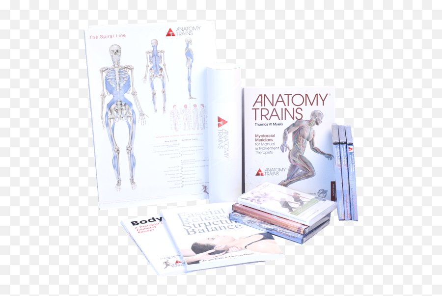 Anatomy Trains For Movement Therapy - Anatomy Trains Book Emoji,Train Emoji Transparent