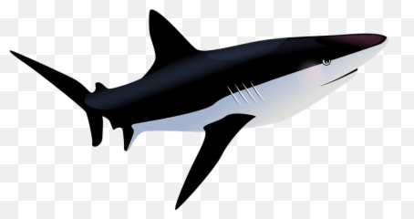 Free Shark Fish Illustrations - Gambar Ikan Hiu Background Putih Emoji,Fish Emoji