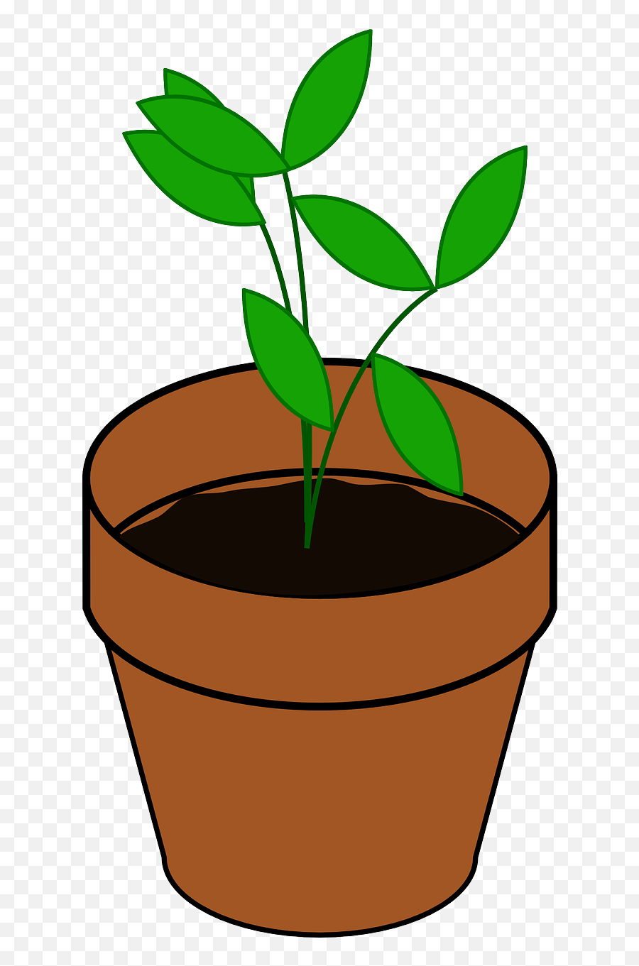 Sapling Pot Potted Plant Brown Dirt - Plant In A Pot Clipart Emoji,Bean Sprout Emoji