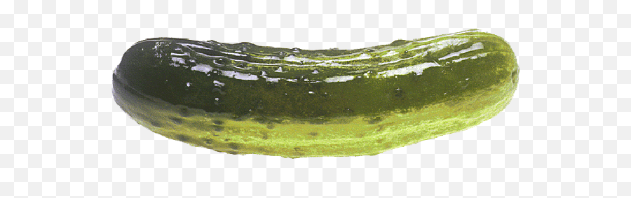 Pickle Transparent Free Pickle Transparent - Pickle Png Emoji,Pickle Emoji