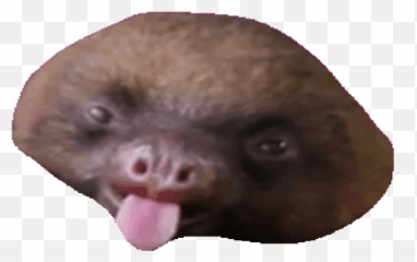 Top Sin Of Sloth Stickers For Android Ios - Sloth Emoji,Sloth Emoji